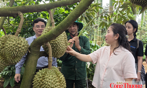 TP. Hồ Chí Minh: Dòng vốn châu Âu đang chuyển sang công nghệ cao