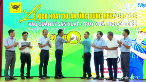 Khi dữ liệu tham gia vào quản lý vận hành khu công nghiệp