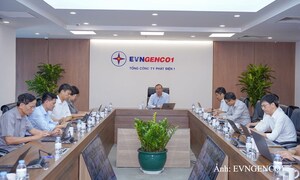 12 bước khép kín từ đồng cỏ đến ly sữa tươi sạch TH true MILK