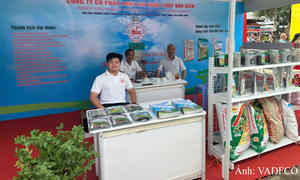 Chủ động phòng ngừa, xây dựng văn hóa an toàn tại Điện lực Thái Nguyên