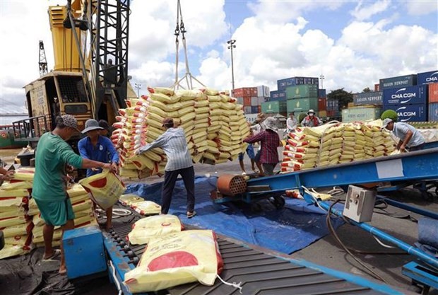 Việt Nam has posted record rice export volume and value recently. – VNA/VNS Photo