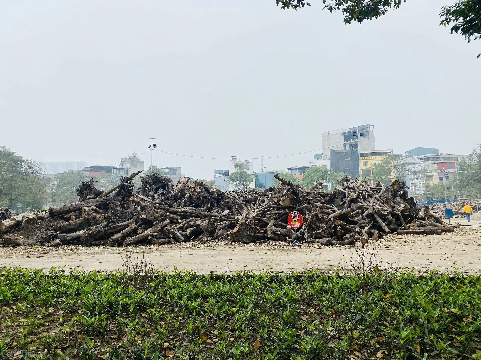 Liệu Công viên Tuổi trẻ Thủ đô có ‘lột xác’ sau khi