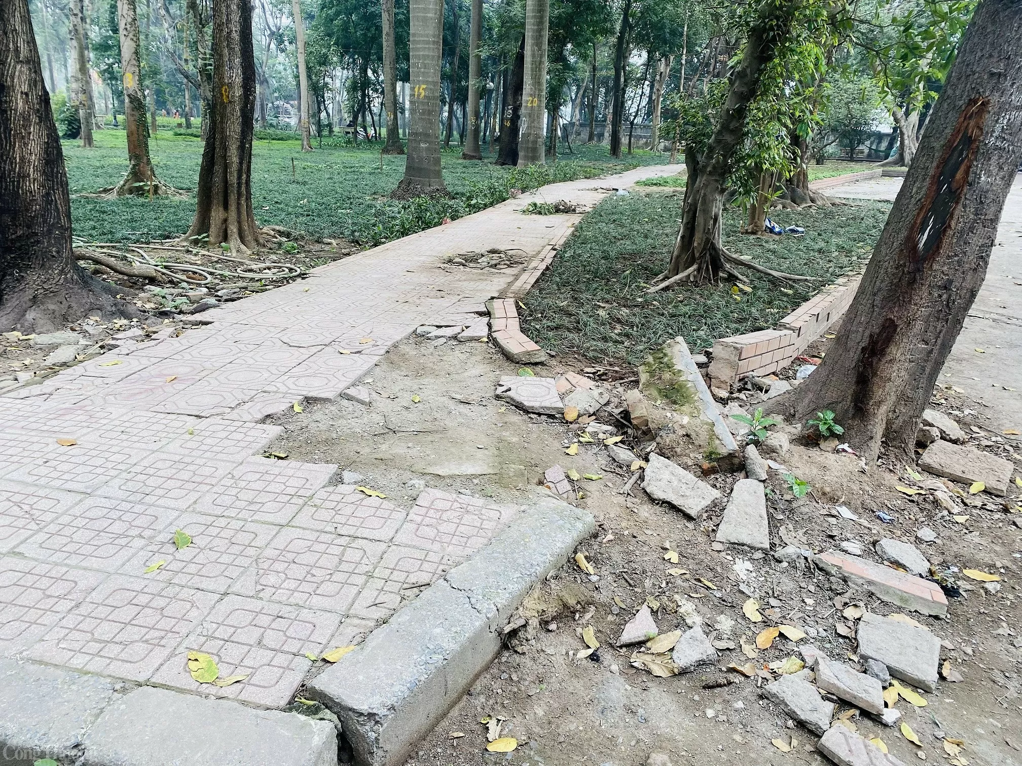 Liệu Công viên Tuổi trẻ Thủ đô có ‘lột xác’ sau khi