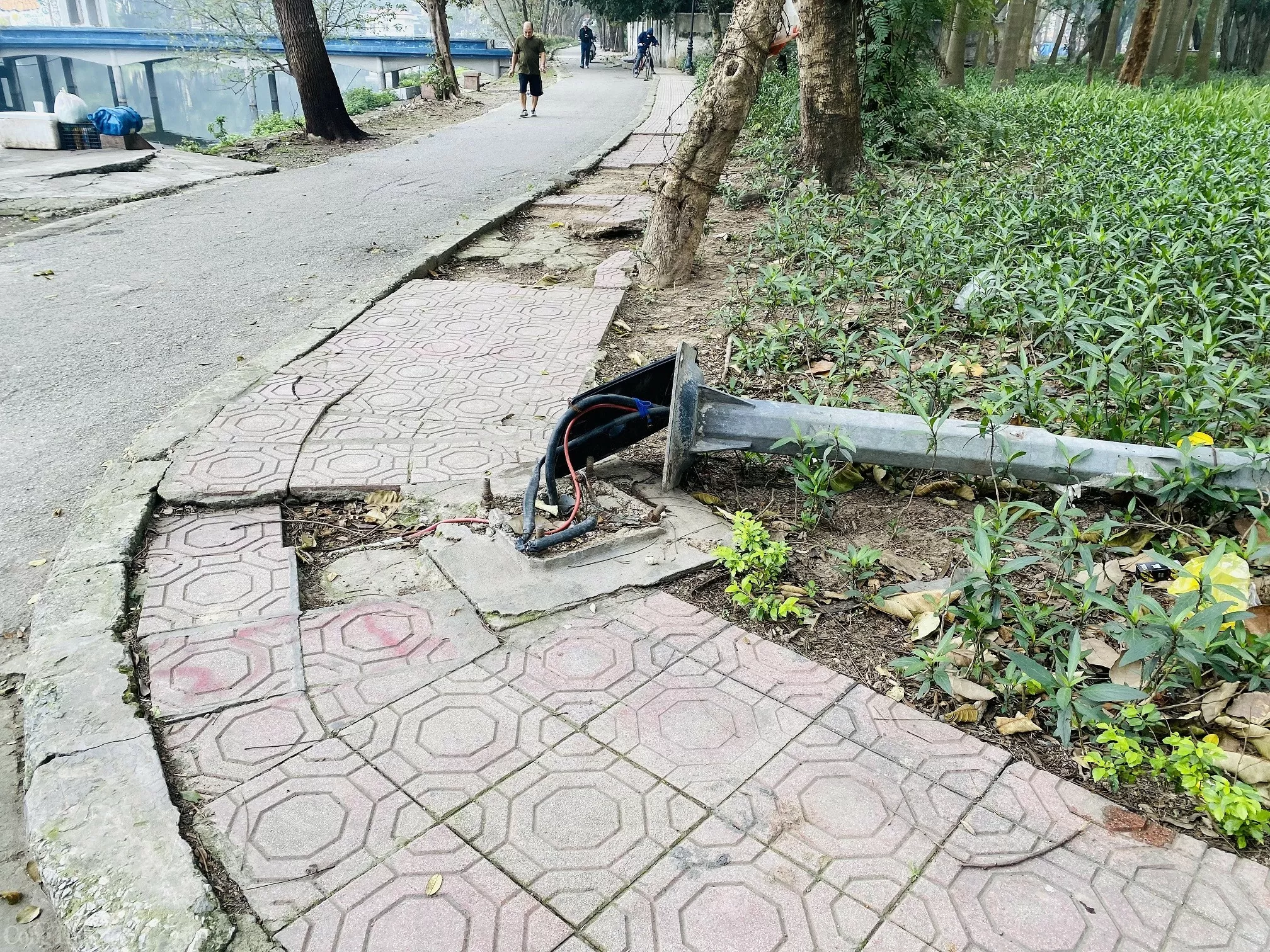 Liệu Công viên Tuổi trẻ Thủ đô có ‘lột xác’ sau khi