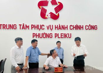 Gia Lai, Bình Định: Hợp nhất để bứt phá
