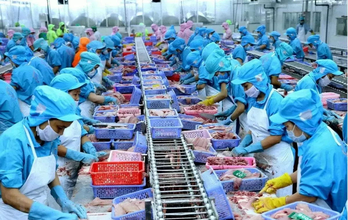 Kiên Giang: Công nghiệp khởi sắc, thương mại bùng nổ trong tháng 5/2025