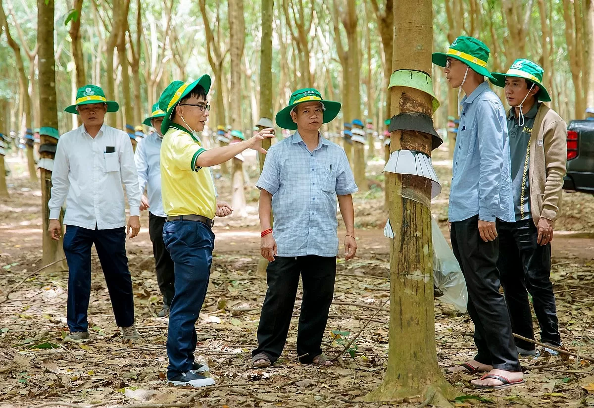 Chuyên gia của PVCFC tư vấn, hướng dẫn bà con Campuchia cách sử dụng sản phẩm hiệu quả (Ảnh PVCFC) Chuyên gia của PVCFC tư vấn, hướng dẫn bà con Campuchia cách sử dụng sản phẩm hiệu quả (Ảnh PVCFC)