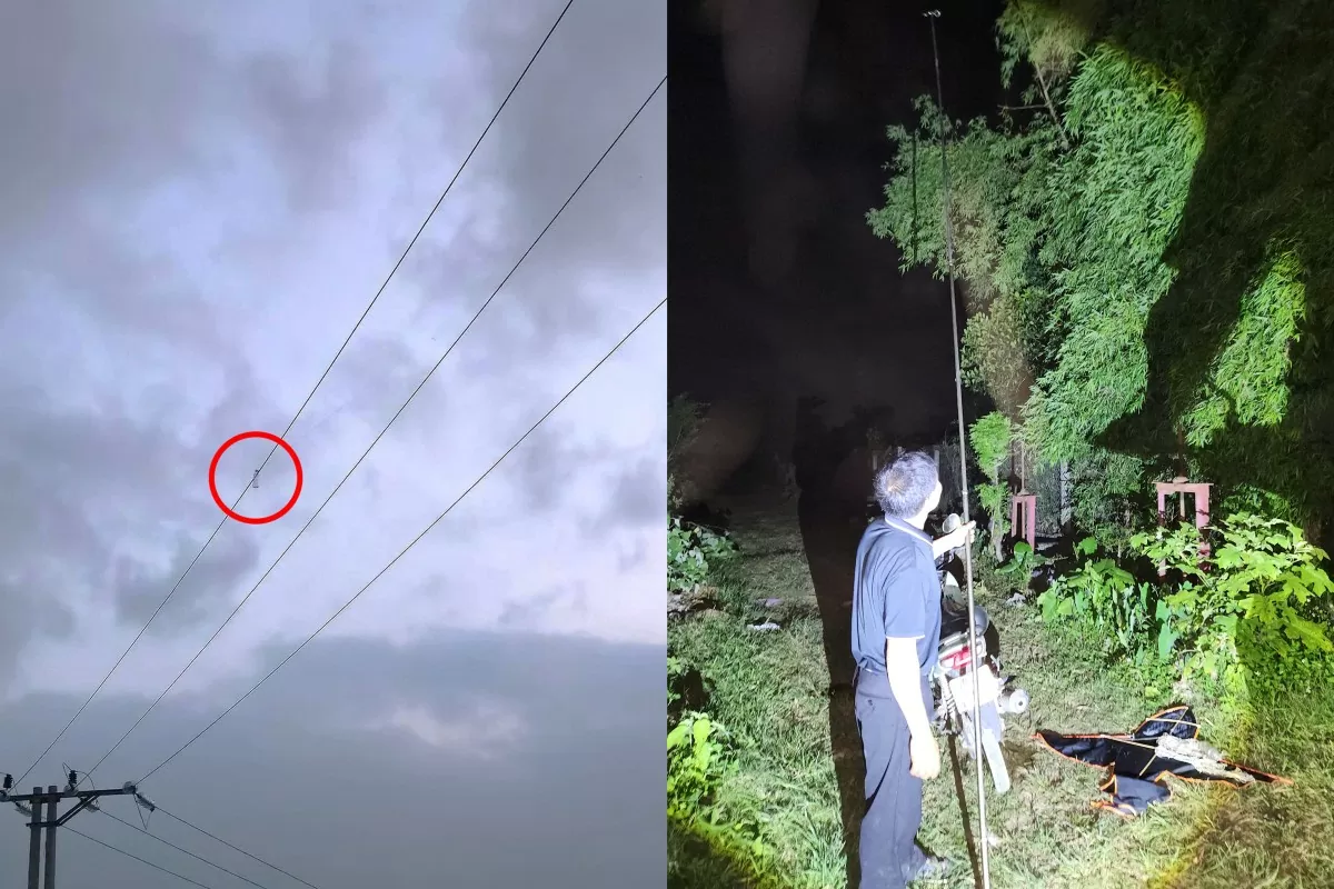 EVNHANOI cảnh báo nguy hiểm từ thả diều gần lưới điện EVNHANOI cảnh báo nguy hiểm từ thả diều gần lưới điện