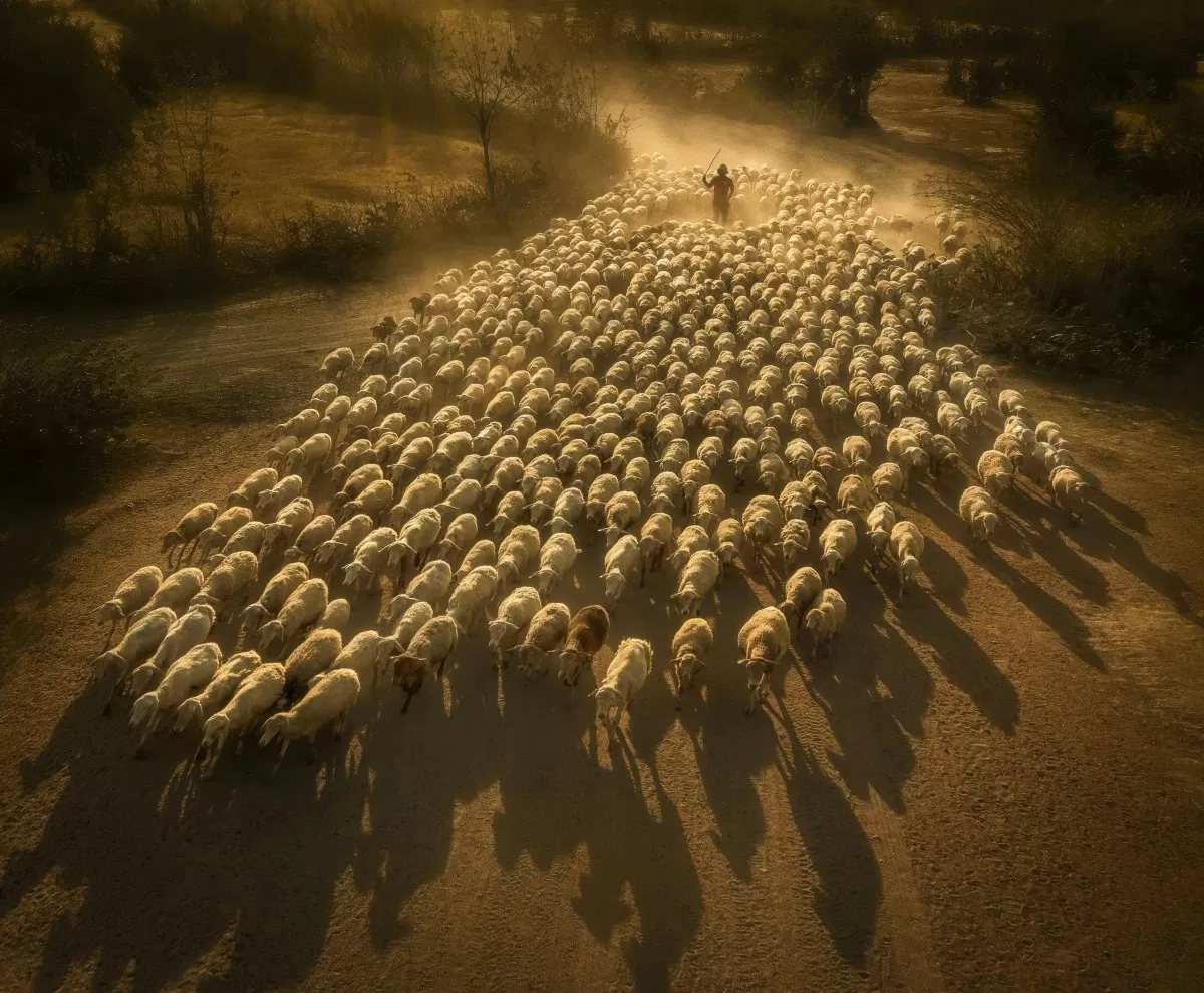 Ninh Thuận thúc đẩy thu hút đầu tư vào du lịch