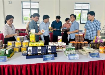 Hà Tĩnh: Bình chọn sản phẩm công nghiệp nông thôn tiêu biểu năm 2025