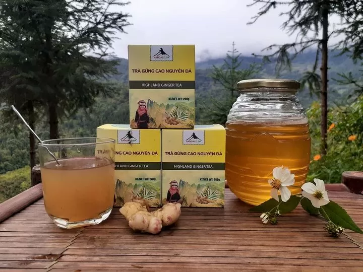 Phát triển dược liệu – Nâng cao sinh kế cho đồng bào người Dao Nặm Đăm