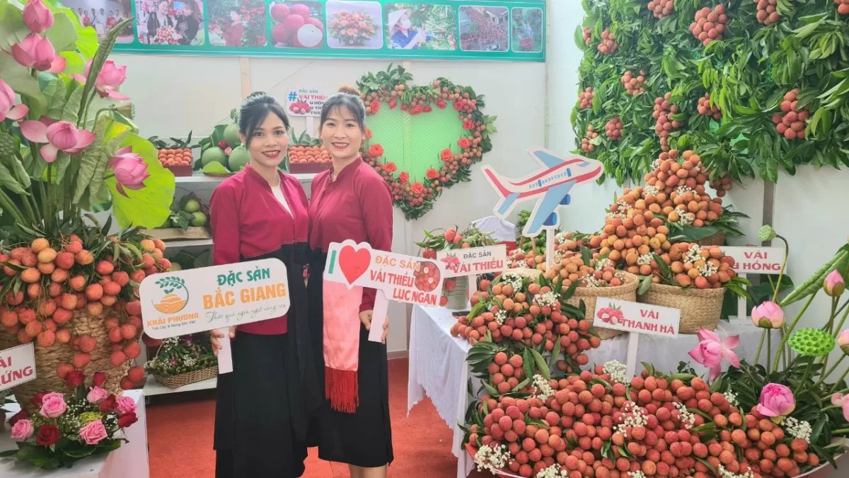 Nhiều siêu thị, doanh nghiệp lớn sẽ đổ về Bắc Giang mùa vải chín