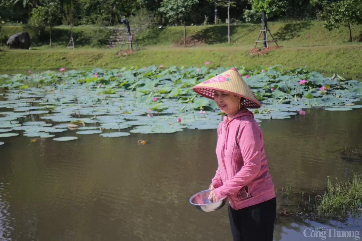 Bà Ngô Thị Hằng từng là người trông coi Ao cá Bác Hồ trước đó