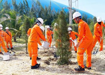 Tuổi trẻ Nhiệt điện Vĩnh Tân 4 trồng cây xanh vì môi trường