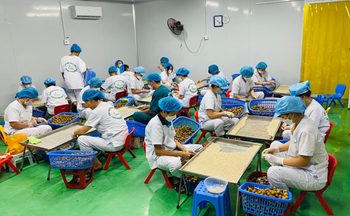 Đồng Tháp: Nâng cao kỹ năng ứng dụng thương mại điện tử doanh nghiệp