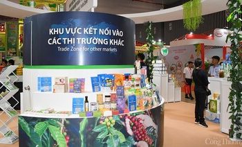 Hiệu quả từ đợt công tác của Bộ Công Thương tại Vĩnh Long