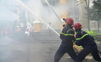 TH true MILK minh bạch chuỗi giá trị khi tiếp cận nhà mua quốc tế