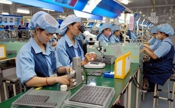 Cà Mau: Phát triển công nghiệp nông thôn theo hướng hiện đại, bền vững