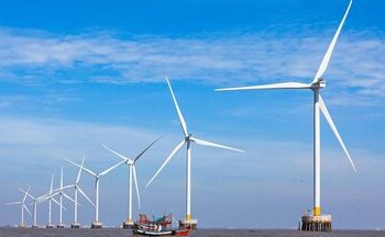 Ngày hội Cua Cà Mau – Lần thứ II năm 2025 có gì đặc biệt?