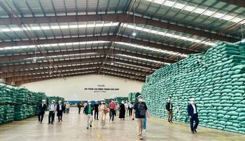 TP. Hồ Chí Minh: Kinh tế khởi sắc, công nghiệp tăng trưởng tích cực