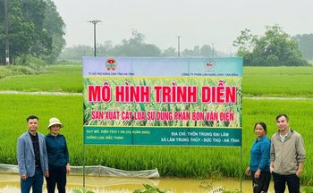 Sunshine Group công bố báo cáo tài chính hợp nhất quý 3/2025