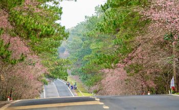 Người trẻ Gia Lai quảng bá du lịch bằng trái tim và ống kính