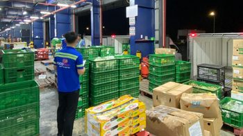 ECOCHIC hợp tác cùng CANIFA ra mắt bộ sưu tập len 2025