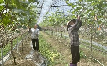 Ngành Công Thương Nghệ An chủ động, hiệu quả trong quản lý công nghiệp