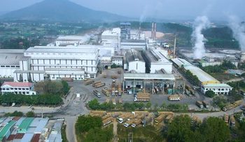 Liên kết sản xuất tạo sinh kế bền vững cho đồng bào dân tộc Lai Châu