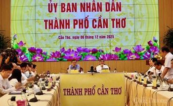 Tổ hợp tác xơ mướp Chapi: Hướng mở sinh kế xanh cho phụ nữ Cao Sơn