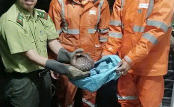 VPBank lập kỷ lục mới tại Mastercard Customer Forum 2025