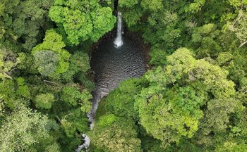 Người dân và du khách chen chân bên sông Hàn xem chung kết pháo hoa DIFF 2025