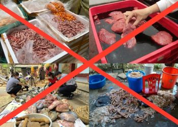 Nói không với thực phẩm bẩn