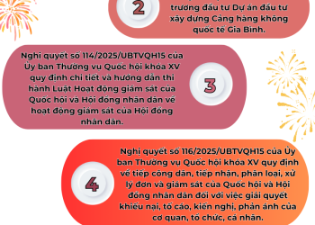 Infographic | Công bố các Nghị quyết của Quốc hội và Ủy ban Thường vụ Quốc hội