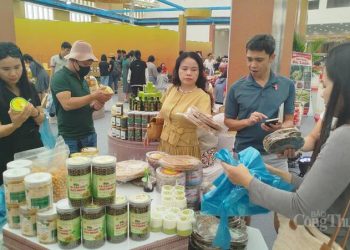 Hà Nội tổ chức Hội chợ Mùa xuân 2026 tại 30 xã phường dịp tết Bính Ngọ