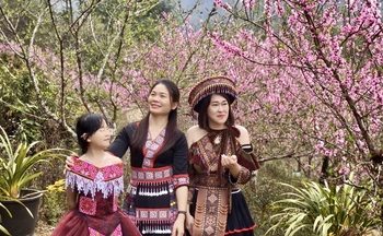 Du lịch Tết Bính Ngọ 2026: Gợi ý điểm đến hấp dẫn phía Nam