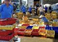 Thành phố Huế: Cải thiện môi trường kinh doanh, hỗ trợ doanh nghiệp