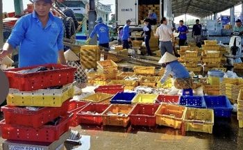 Thành phố Huế: Cải thiện môi trường kinh doanh, hỗ trợ doanh nghiệp