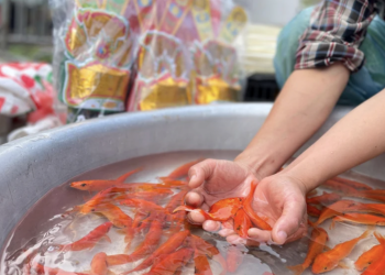 Cúng ông Công ông Táo và những lưu ý quan trọng để cả năm may mắn