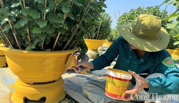 TP. Hồ Chí Minh: Bổ sung gói thầu thiết bị y tế Bệnh viện Nguyễn Trãi