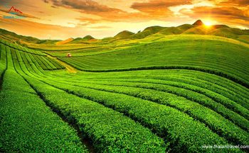 Du lịch bản Sin Suối Hồ – ‘viên ngọc quý’ của Tây Bắc