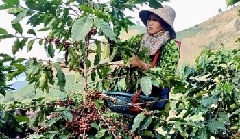 ‘Đảo ngọc’ Phú Quốc đón hơn 264.000 lượt khách dịp Tết