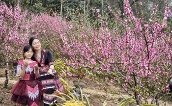 OCOP Lâm Đồng: Mở rộng quy mô, nâng tầm chất lượng