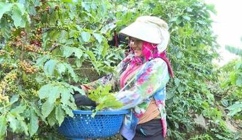 Thành phố Huế ban hành Kế hoạch chuyển đổi số năm 2026