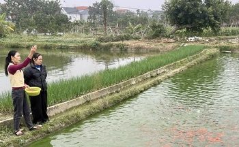 Đồng Nai tăng tốc nhờ phát triển hạ tầng công nghiệp, logistics