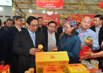 Miễn phí 100% mặt bằng trưng bày hoa, cây cảnh tại Hội chợ Mùa Xuân