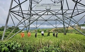 TP. Hồ Chí Minh: Chuyển đổi số đi vào chiều sâu