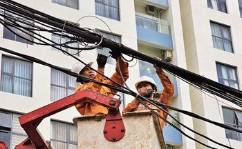 Mường Lạn đánh thức lợi thế giống vịt cổ xanh, hướng tới sản phẩm OCOP