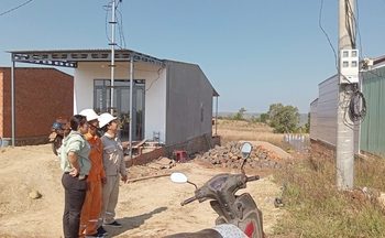 Xuân về trên những miền trà Olong Lâm Đồng