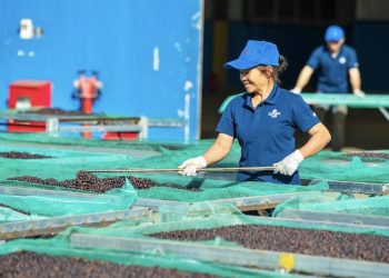 Doanh nghiệp Gia Lai vào guồng sản xuất đầu năm